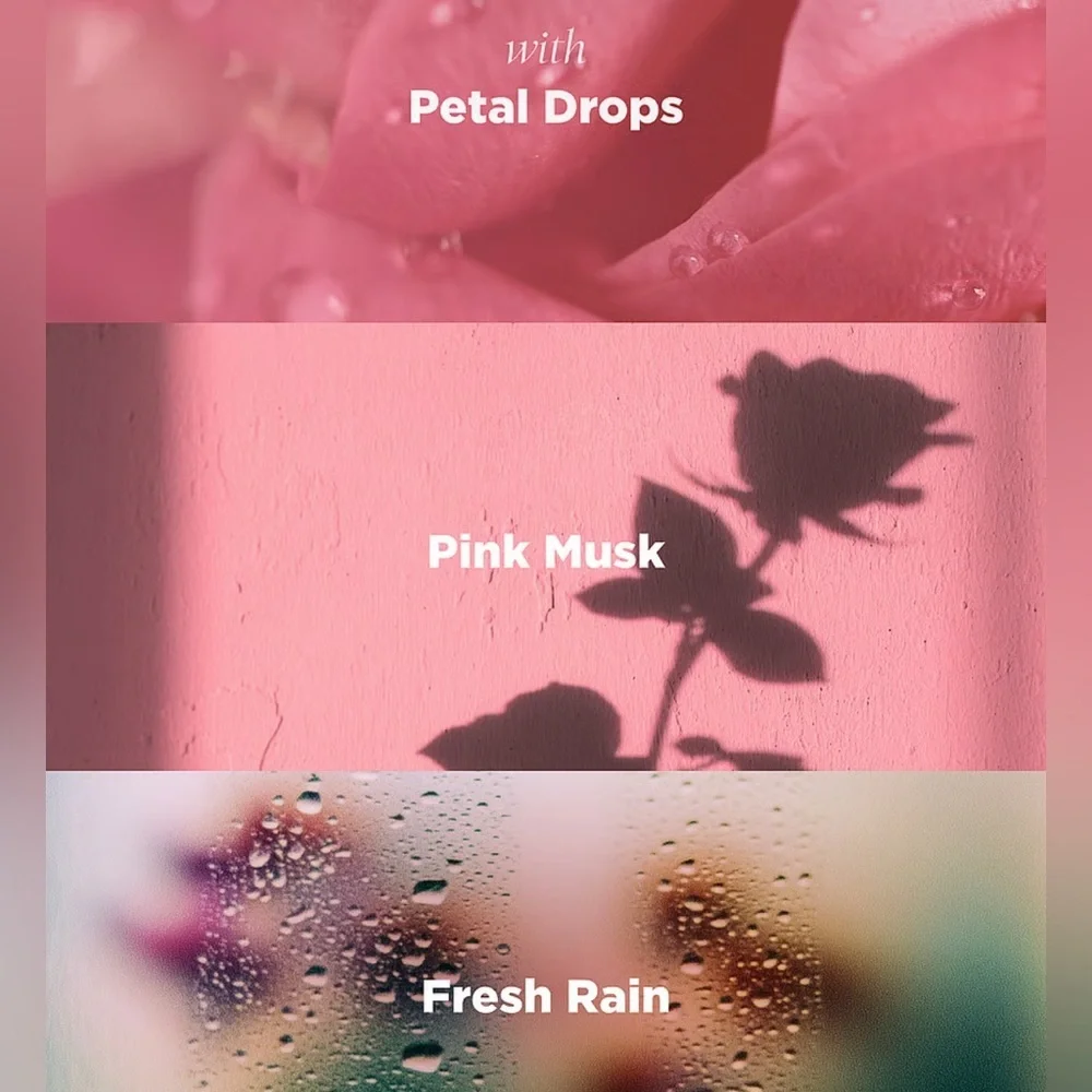 Victoria's Secret Rose Bohemia Liquid Hand Wash Pink Musk Fresh Rain 10 fl oz